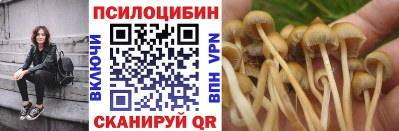 Купить закладки Егорьевск Галлюциногенные грибы Psilocybine cubensis