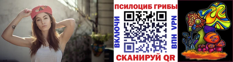 Псилоцибиновые грибы Psilocybe Егорьевск