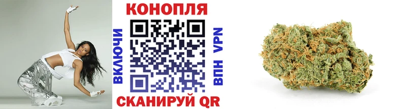 Купить закладки  Егорьевск  Канабис ГИДРОПОН 